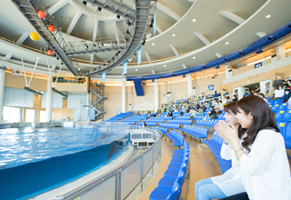 アクアワールド茨城県大洗水族館