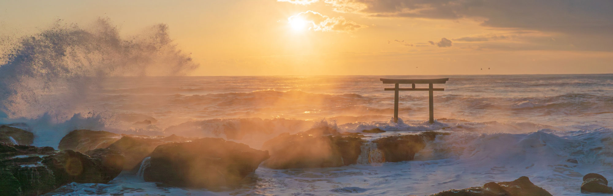 朝の海岸散歩＆磯遊び